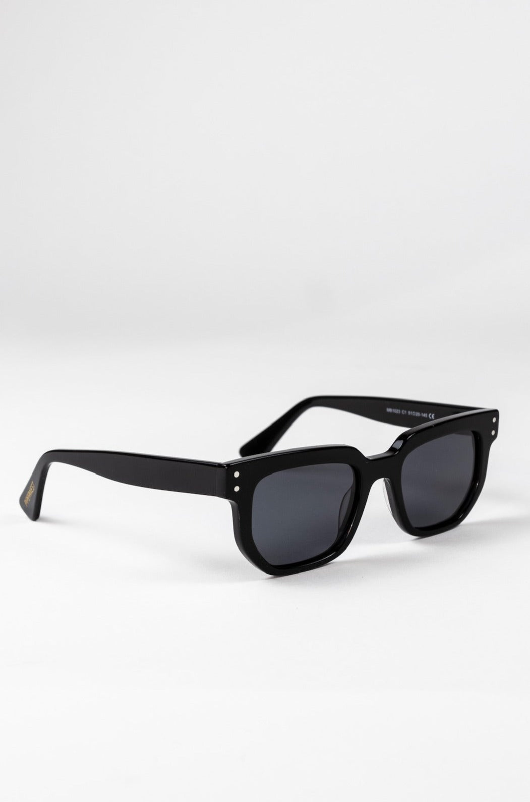Inez Casual Acetate Sunglasses in Jet Black