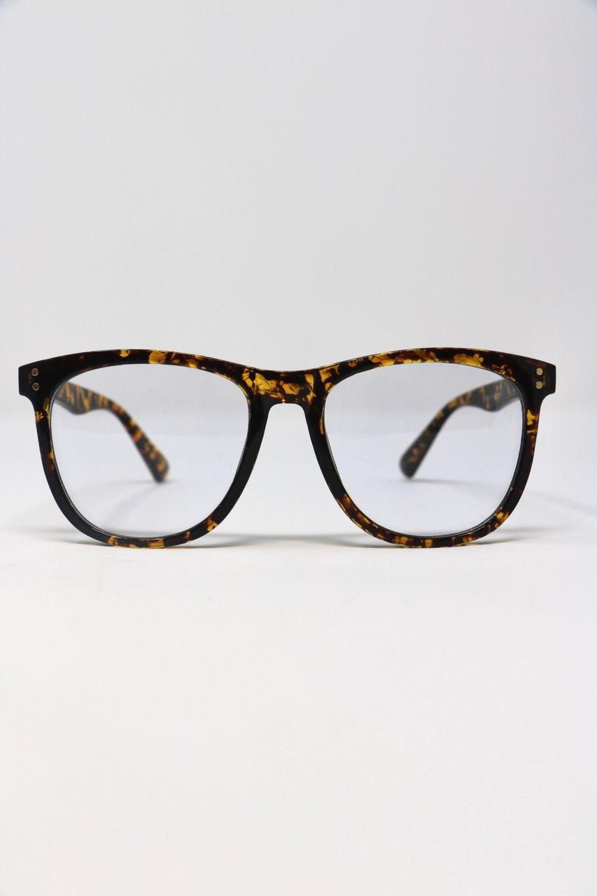 Papyrus Persol Tintless Blue Light Glasses in Tortoise Frame