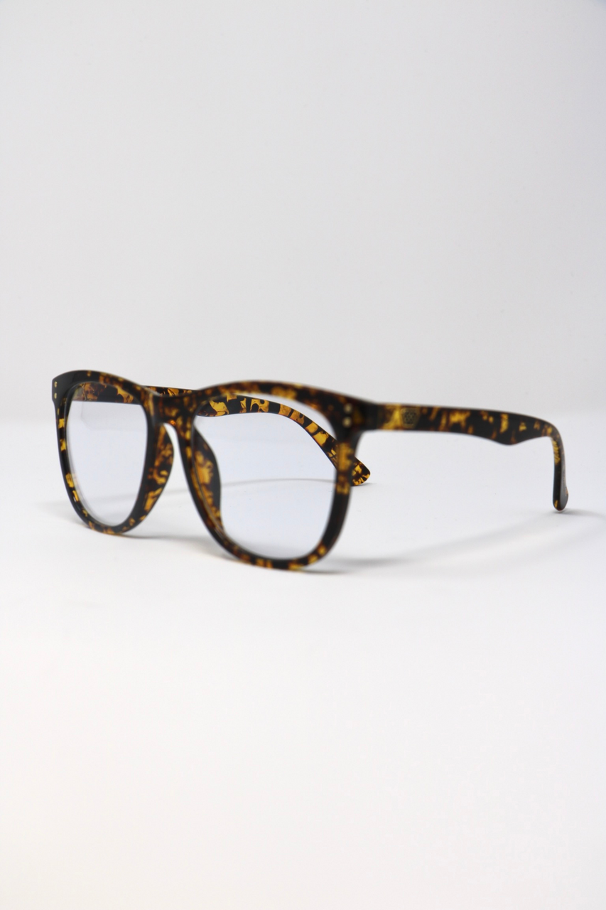 Papyrus Persol Tintless Blue Light Glasses in Tortoise Frame